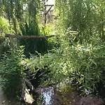דירה Unser Studio-apartment 