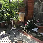 Unser Studio-apartment 