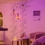 Unser Studio-apartment 