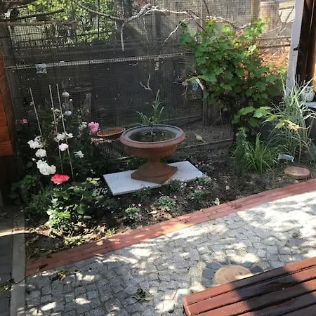 Unser Studio-apartment 