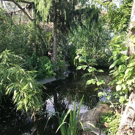 Unser Studio-apartment 