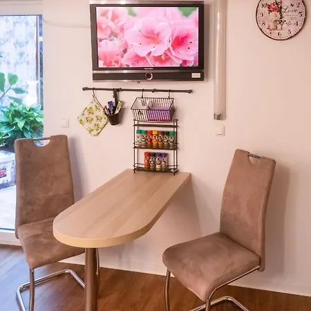 Unser Studio-apartment 