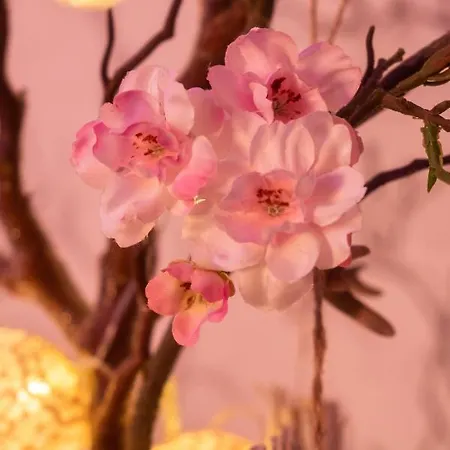 Unser Studio-apartment 