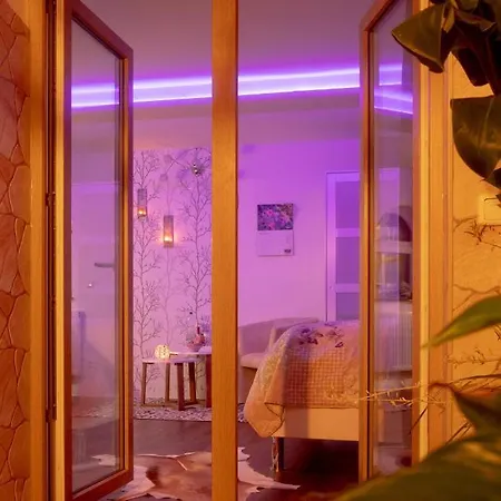 Unser Studio-apartment 