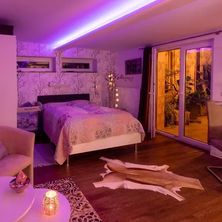 Unser Studio-apartment 
