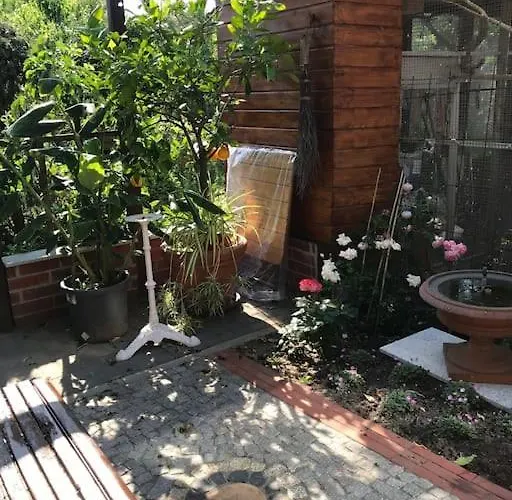 Unser Studio-apartment 