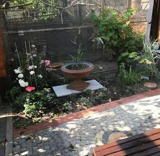 Unser Studio-apartment 