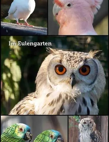 Unser Studio-apartment 