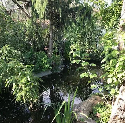 Unser Studio-apartment 