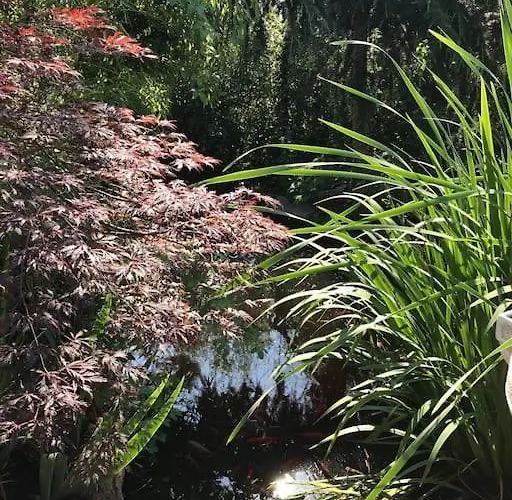 Unser Studio-apartment 