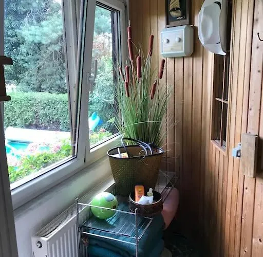 Unser Studio-apartment 