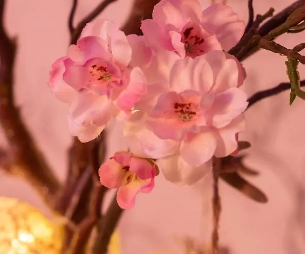 Unser Studio-apartment 