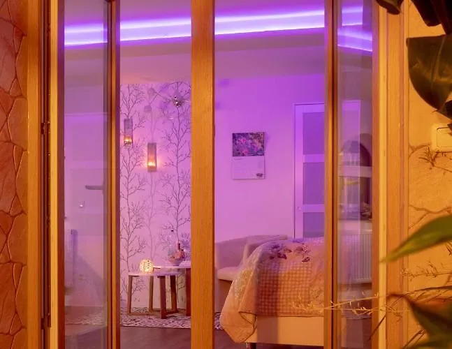 Unser Studio-apartment 